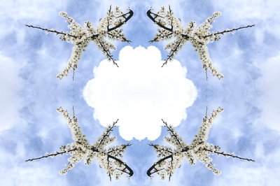 Unnatural 115 (digitálně upravená fotografie) od Giovanni Cafagna