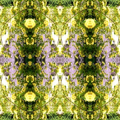Unnatural 150 (digitálně upravená fotografie) od Giovanni Cafagna