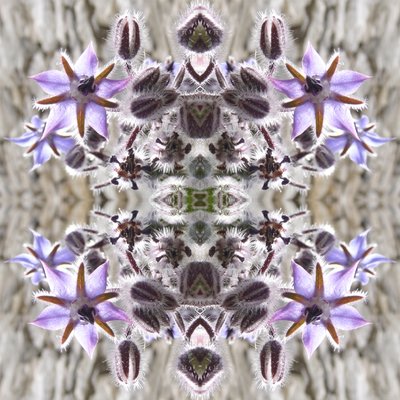 Unnatural 159 (digitálně upravená fotografie) od Giovanni Cafagna