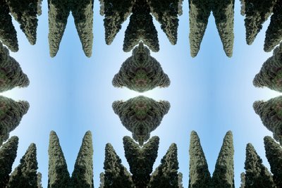 Unnatural 169 (digitálně upravená fotografie) od Giovanni Cafagna