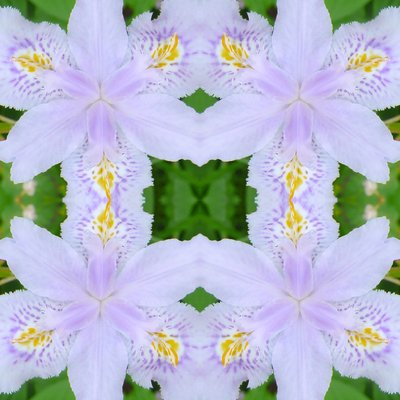 Unnatural 174 (digitálně upravená fotografie) od Giovanni Cafagna