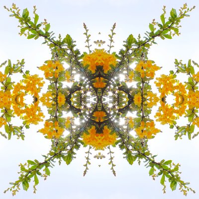 Unnatural 175 (digitálně upravená fotografie) od Giovanni Cafagna