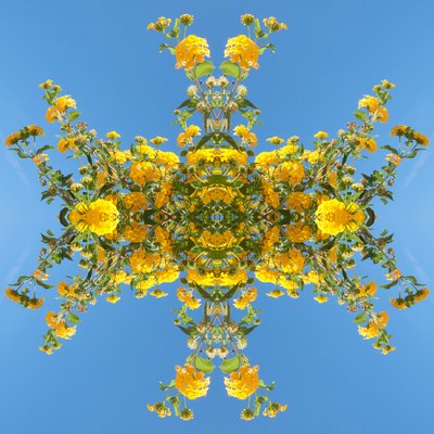 Unnatural 193 (digitálně upravená fotografie) od Giovanni Cafagna