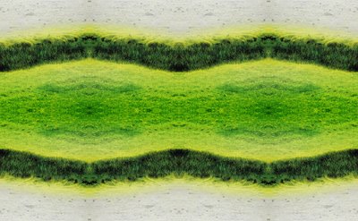 Nepřirozené 2.1 (digitálně upravená fotografie) od Giovanni Cafagna