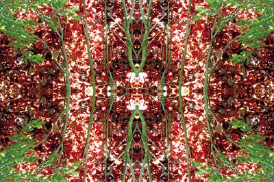 Unnatural 23 (digitálně upravená fotografie) od Giovanni Cafagna