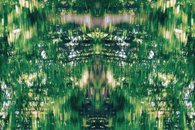 Unnatural 31 (digitálně upravená fotografie) od Giovanni Cafagna