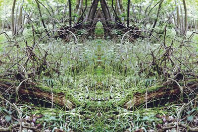 Unnatural 33 (digitálně upravená fotografie) od Giovanni Cafagna