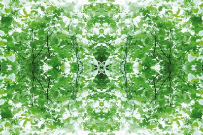 Unnatural 34 (digitálně upravená fotografie) od Giovanni Cafagna