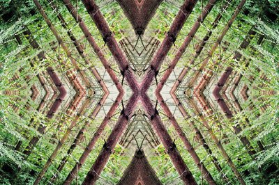Unnatural 37 (digitálně upravená fotografie) od Giovanni Cafagna