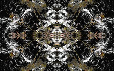 Unnatural 37 (digitálně upravená fotografie) od Giovanni Cafagna