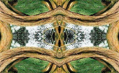 Unnatural 37 (digitálně upravená fotografie) od Giovanni Cafagna