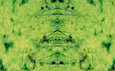 Unnatural 3 (digitálně upravená fotografie) od Giovanni Cafagna