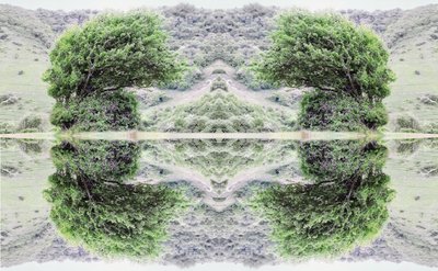 Unnatural 40 (digitálně upravená fotografie) od Giovanni Cafagna
