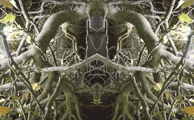 Unnatural 41 (digitálně upravená fotografie) od Giovanni Cafagna
