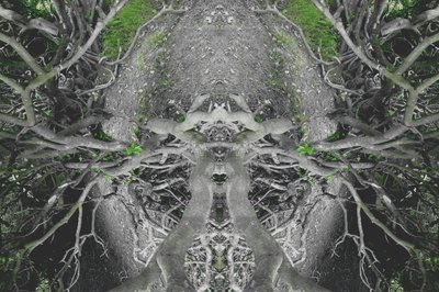 Unnatural 42 (digitálně upravená fotografie) od Giovanni Cafagna