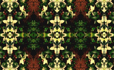 Unnatural 43 (digitálně upravená fotografie) od Giovanni Cafagna