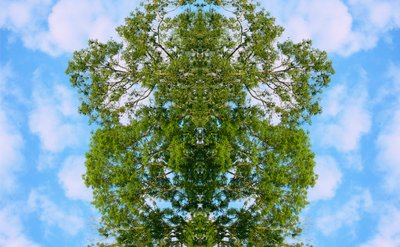 Unnatural 46 (digitálně upravená fotografie) od Giovanni Cafagna