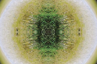Nepřirozené 6.1 (digitálně upravená fotografie) od Giovanni Cafagna