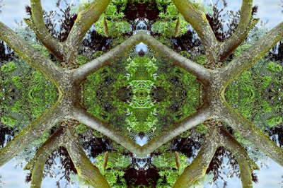 Nepřirozené 65.2 (digitálně upravená fotografie) od Giovanni Cafagna