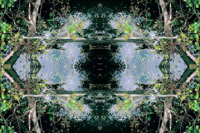 Unnatural 73 (digitálně upravená fotografie) od Giovanni Cafagna