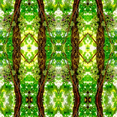 Unnatural 74 (digitálně upravená fotografie) od Giovanni Cafagna