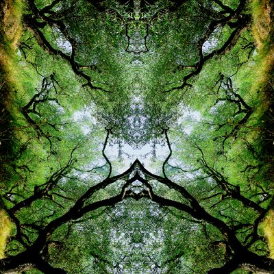Unnatural 75 (digitálně upravená fotografie) od Giovanni Cafagna