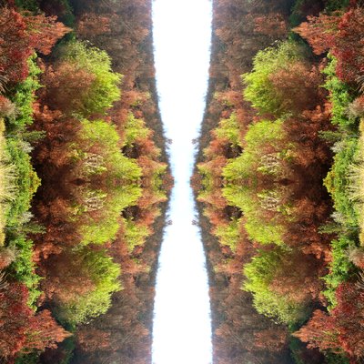 Unnatural 77 (digitálně upravená fotografie) od Giovanni Cafagna