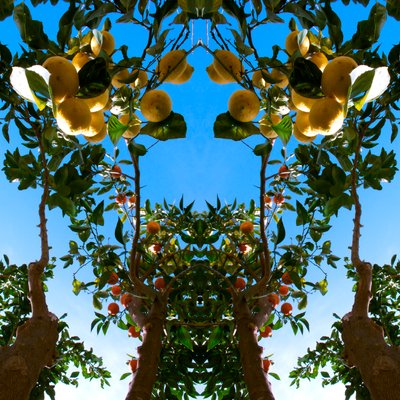 Unnatural 78 (digitálně upravená fotografie) od Giovanni Cafagna