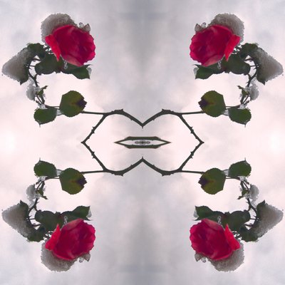 Unnatural 80 (digitálně upravená fotografie) od Giovanni Cafagna