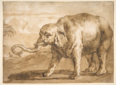Slon v krajině od Giovanni Domenico Tiepolo