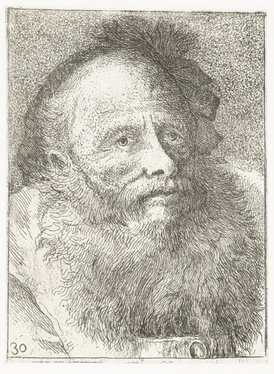 Muž s plnovousem a pokrývkou hlavy s peřím Sbírka hlav (název série) Raccolta di Teste (název série) od Giovanni Domenico Tiepolo