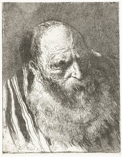 Muž s plnovousem v pruhovaném plášti Sbírka hlav (název série) Raccolta di Teste (název série) od Giovanni Domenico Tiepolo