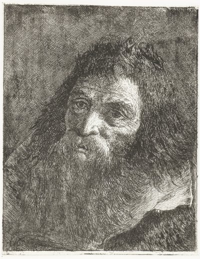 Muž s dlouhými vlasy a vousy od Giovanni Domenico Tiepolo
