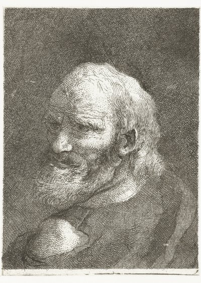 Muž s holým ramenem Sbírka hlav (název série) Raccolta di Teste (název série) od Giovanni Domenico Tiepolo