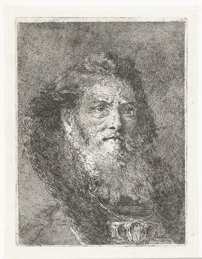 Muž bez pokrývky hlavy Sbírka hlav (název série) Raccolta di Teste (název série) od Giovanni Domenico Tiepolo