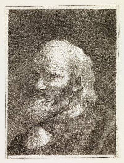 Zobrazení starého muže zezadu od Giovanni Domenico Tiepolo