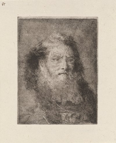 Starý muž s holou hlavou, z Raccolta di Teste (Sbírka hlav) od Giovanni Domenico Tiepolo