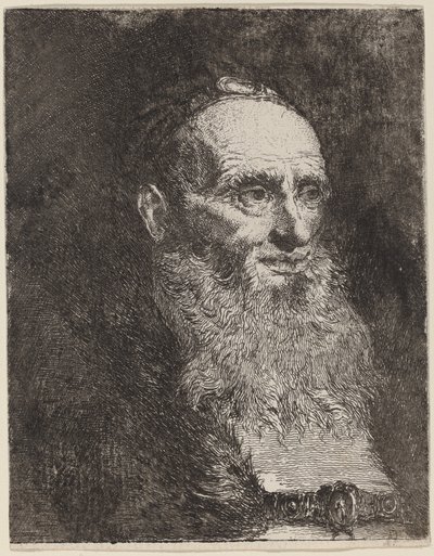 Starý muž s plnovousem od Giovanni Domenico Tiepolo