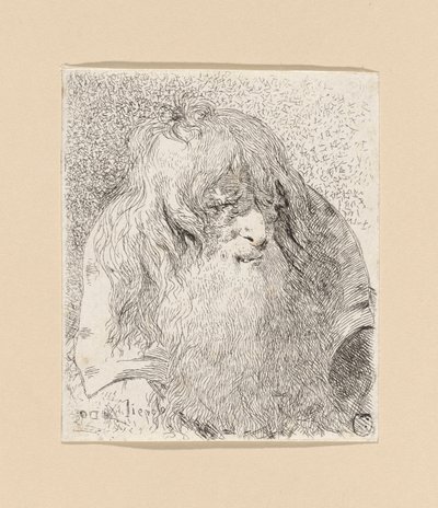 Starý muž s plnovousem a dlouhými vlasy, z Raccolta di Teste (Sbírka hlav) od Giovanni Domenico Tiepolo