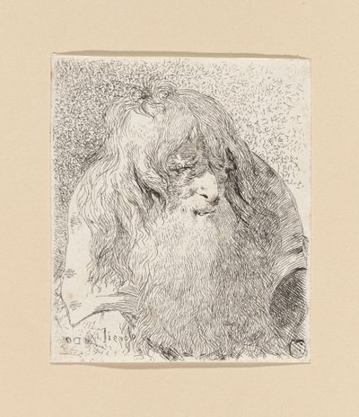 Stařec s vousy a dlouhými vlasy, z díla „Raccolta di Teste“ (Sbírka hlav) od Giovanni Domenico Tiepolo