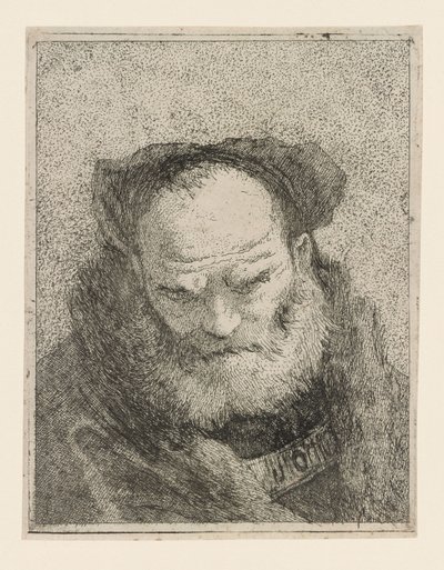 Starý muž s plnovousem, z Raccolta di Teste (Sbírka hlav) od Giovanni Domenico Tiepolo