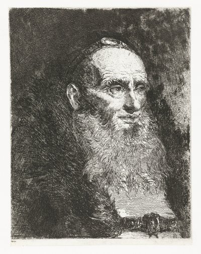 Starý muž Sbírka hlav (název série) Raccolta di Teste (název série) od Giovanni Domenico Tiepolo