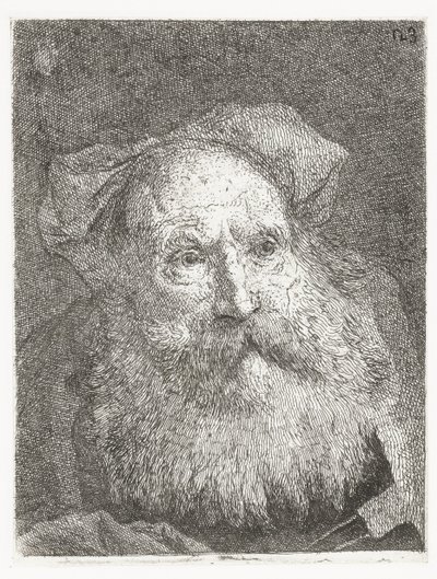 Starý muž s vousy Sbírka hlav (název série) Raccolta di Teste (název série) od Giovanni Domenico Tiepolo