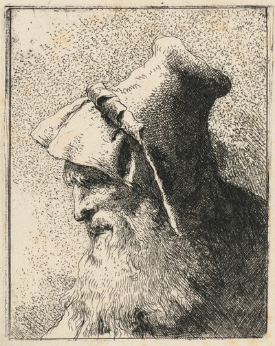 Profil starého muže s plnovousem od Giovanni Domenico Tiepolo