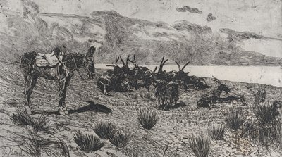 Osel a kozy na mořském pobřeží v zimě, 1884-1908. od Giovanni Fattori