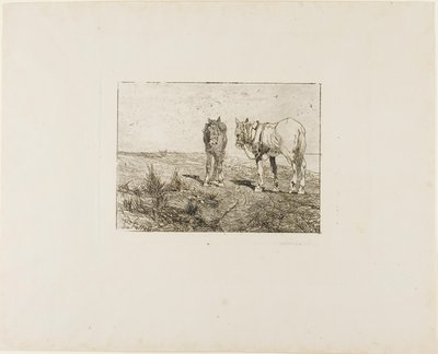 Odpočinek koní od Giovanni Fattori