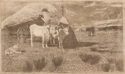 Voli zapřažení do vozu (Maremma) (Bovi al carro (Maremma)) od Giovanni Fattori