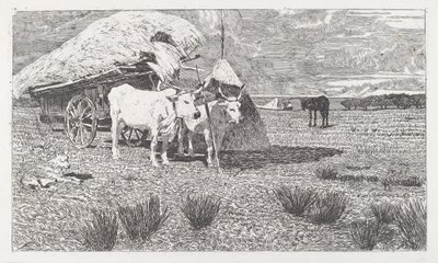  od Giovanni Fattori