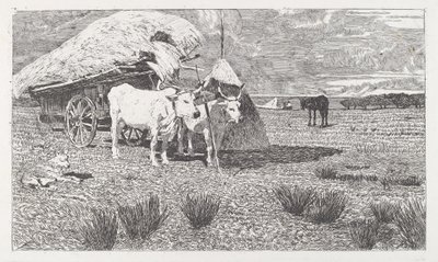 Voli zapřaženi do povozu (Maremma) [Bovi al carro (Maremma)] od Giovanni Fattori