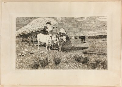 Voli a vůz (Maremma) od Giovanni Fattori